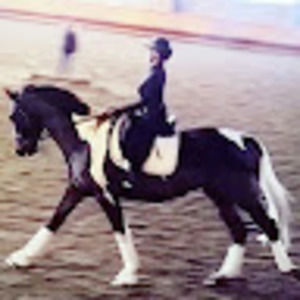 Meet your Posher, Blondy